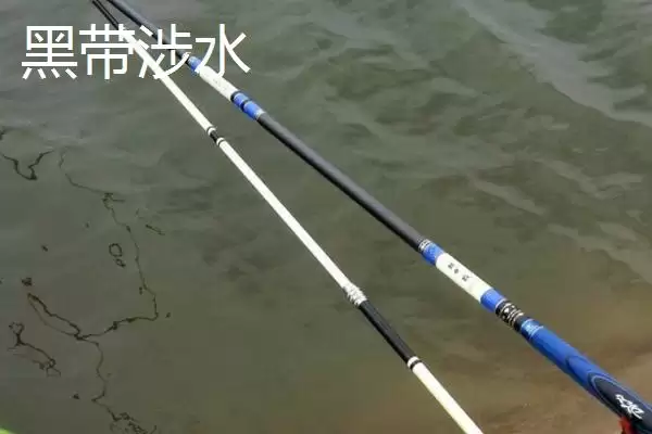 400元以内鱼竿推荐(400元以内性价比高且适合不同钓法的鱼竿有哪些推荐)插图4