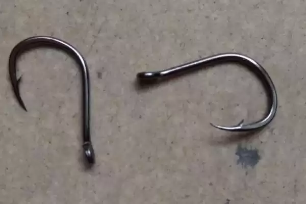 4号伊豆钩适合钓不超3斤鱼类指南(4号伊豆钩钓3斤内鱼有哪些实用的指南要点)插图3