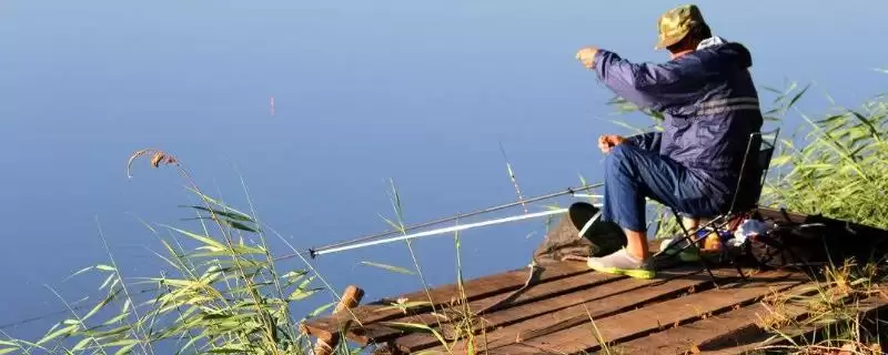 19调鱼竿野钓效果(19调鱼竿在野钓时的实际效果表现如何呢)-会东网