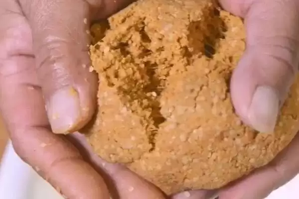 草鱼喜欢吃什么饵料(草鱼偏好的饵料种类有哪些呢)插图1
