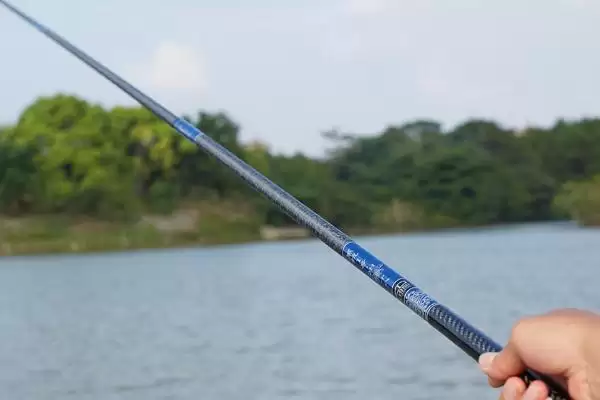 2.1米鱼竿实用吗(2.1米鱼竿在不同垂钓场景下的实用性分析如何)插图2