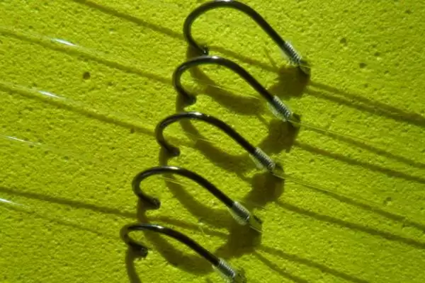 15斤的鱼用什么线组(钓15斤的鱼在不同水域适合搭配什么线组呢)插图2 15斤的鱼用什么线组(钓15斤的鱼在不同水域适合搭配什么线组呢)插图2