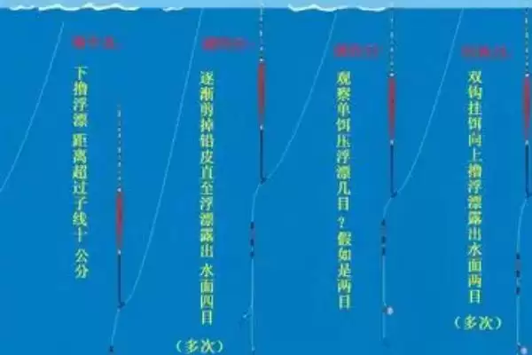 钓鳊鱼调漂方法(钓鳊鱼该怎么进行调漂呢)插图1