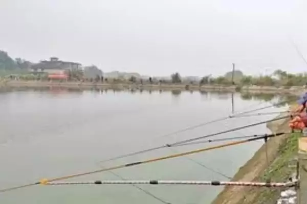 0.8子线不建议钓超3斤鱼要点(0.8子线不建议钓超3斤鱼的关键要点有哪些)插图1 0.8子线不建议钓超3斤鱼要点(0.8子线不建议钓超3斤鱼的关键要点有哪些)插图1