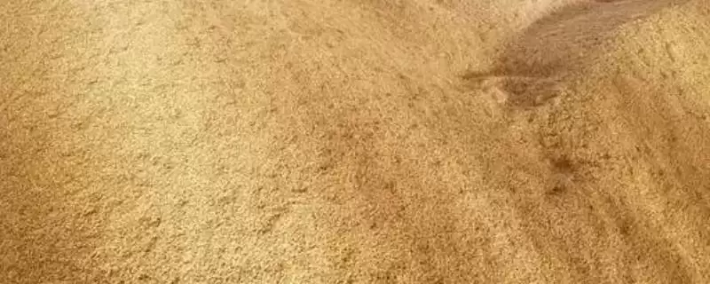稻谷和玉米的储存年限(稻谷和玉米能储存多久呢)-会东网