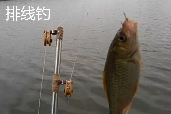 传统钓钓法介绍(传统钓钓法有哪些详细介绍呢)插图8