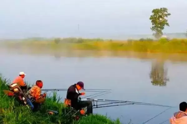 钓鲮鱼适合调几目钓几目(钓鲮鱼调几目钓几目合适)插图1