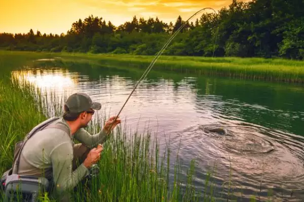 3.0号主线1.5号子线能钓多大鱼(3.0号主线搭配1.5号子线能钓多大的鱼呢)插图1