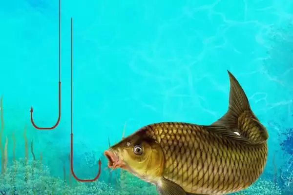 pe线被鱼察觉的原因(在垂钓过程中，pe线容易被鱼察觉的原因是什么)插图5