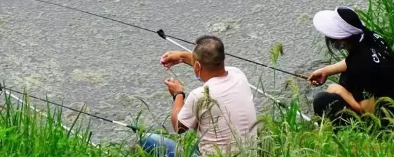初夏钓鱼适宜时间(初夏钓鱼在什么时间合适呢)-会东网