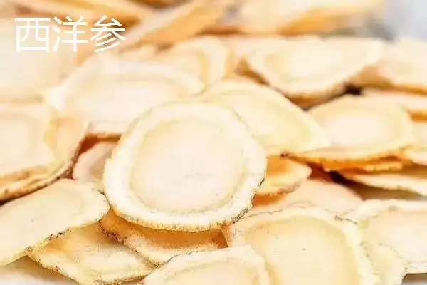 白参与西洋参对比(白参与西洋参对比及其在药用价值和功效上的区别)插图2