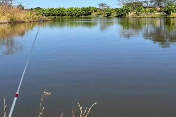 初夏钓鱼适宜时间(初夏钓鱼在什么时间合适呢)插图1