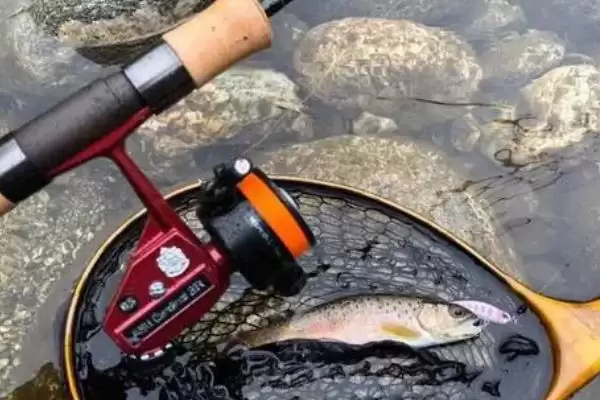 pe线被鱼察觉的原因(在垂钓过程中，pe线容易被鱼察觉的原因是什么)插图4