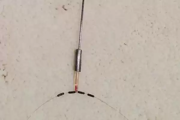 15斤的鱼用什么线组(钓15斤的鱼在不同水域适合搭配什么线组呢)插图1 15斤的鱼用什么线组(钓15斤的鱼在不同水域适合搭配什么线组呢)插图1