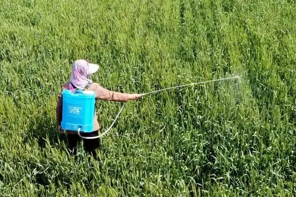 氟啶脲与氟铃脲区别(氟啶脲与氟铃脲在杀虫效果、适用范围差别)插图3