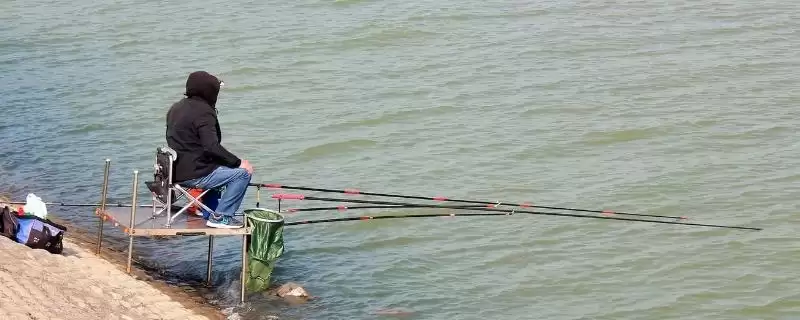 白条鱼还有啥垂钓技巧(常规方法外,钓白条鱼还有哪些高效的独特垂钓技巧)-会东网