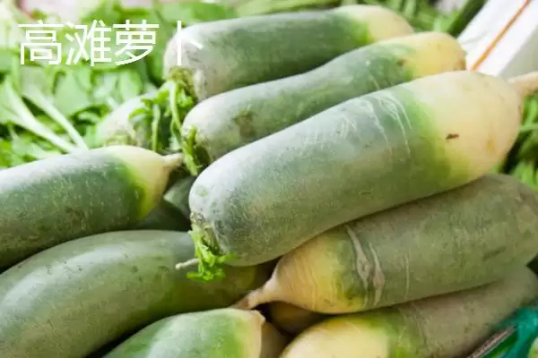 萧县为人熟知的特产 (萧县高滩萝卜久负盛名的种植和品质优势在哪)插图4