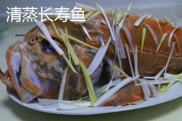 3 斤以上长寿鱼价格情况 (3 斤以上长寿鱼价格 100-150 元一条的缘由)插图3