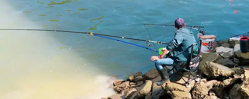 4号伊豆钩适合钓不超3斤鱼类指南(4号伊豆钩钓3斤内鱼有哪些实用的指南要点)-会东网