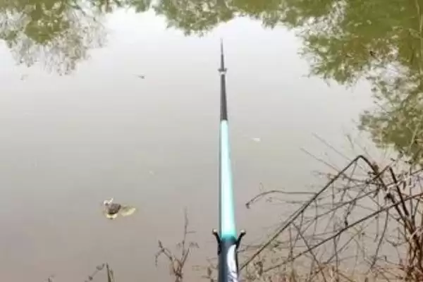 19调鱼竿野钓效果(19调鱼竿在野钓时的实际效果表现如何呢)插图7 19调鱼竿野钓效果(19调鱼竿在野钓时的实际效果表现如何呢)插图7