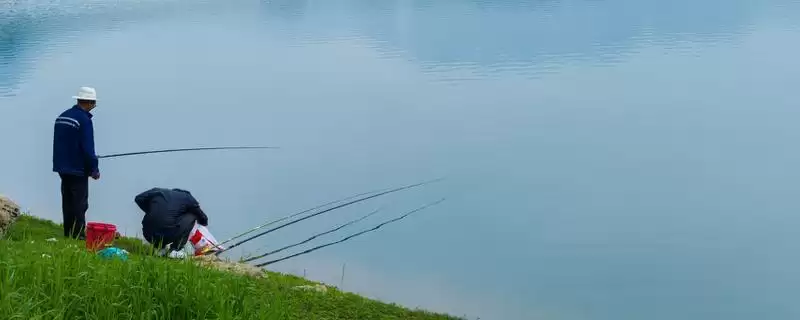 6H鱼竿能飞多大的鱼(6H鱼竿在具备飞鱼条件下能飞多大重量的鱼呢)-会东网