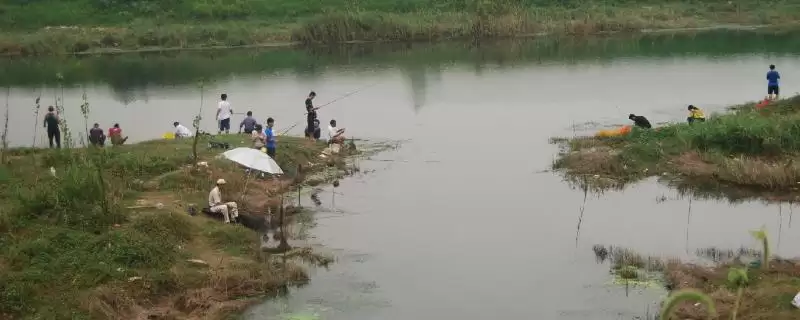 钓鱼怎么避开麦穗鱼(钓鱼时咋避开麦穗鱼呢)-会东网