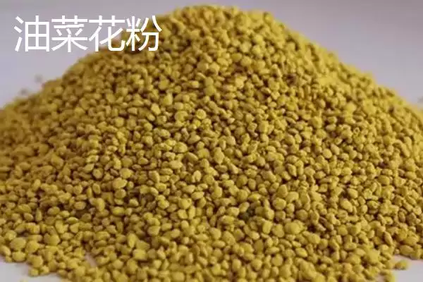 蜂花粉种类(蜂花粉常见种类及营养差异有哪些)插图4