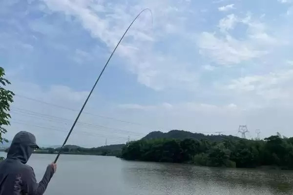 3.5主线配多少子线(3.5主线在搭配子线时选择多少规格较为合适呢)插图2 3.5主线配多少子线(3.5主线在搭配子线时选择多少规格较为合适呢)插图2