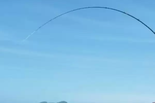 白天钓鲶鱼钓深水的原因(白天钓鲶鱼选择深水区域的具体原因是什么呢)插图4 白天钓鲶鱼钓深水的原因(白天钓鲶鱼选择深水区域的具体原因是什么呢)插图4