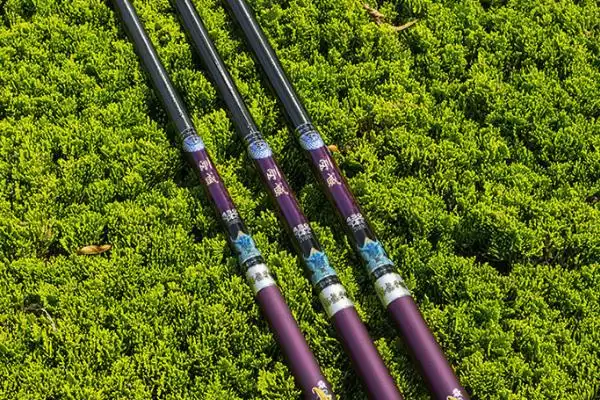 6H鱼竿能飞多大的鱼(6H鱼竿在具备飞鱼条件下能飞多大重量的鱼呢)插图2