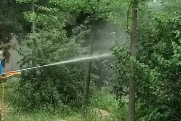 矮壮素使用方法全解析，使用方法和用量依作物而定的原因插图3