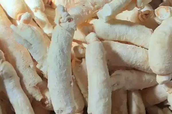 白参与西洋参对比(白参与西洋参对比及其在药用价值和功效上的区别)插图3