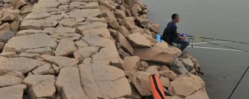 白天钓鲶鱼还有啥技巧(除钓深水外,白天钓鲶鱼还有哪些实用的技巧要点)-会东网