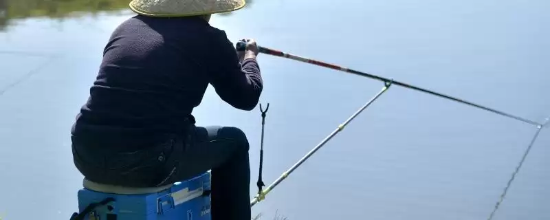 3.0号主线1.5号子线能钓多大鱼(3.0号主线搭配1.5号子线能钓多大的鱼呢)-会东网