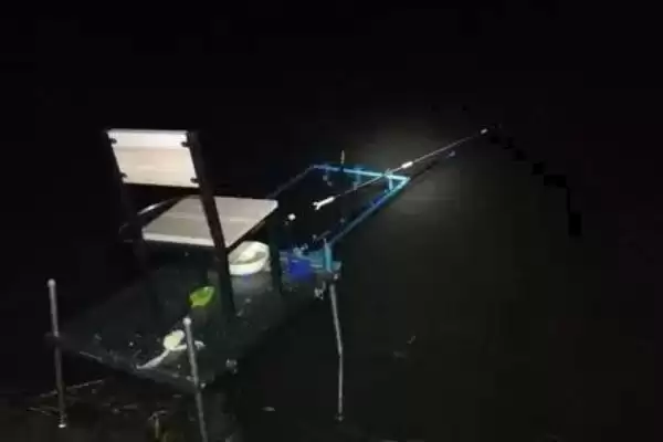 草鱼能否夜钓(草鱼在夜间是否适合垂钓呢)插图1