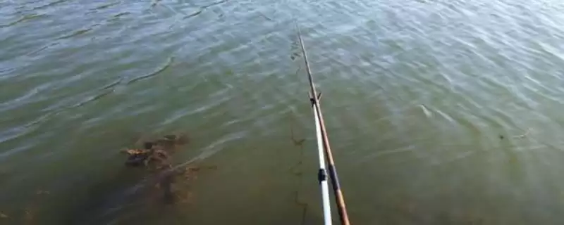 1.0号子线搭配5号袖钩教程(详细讲解1.0号子线搭配5号袖钩的具体教程)-会东网