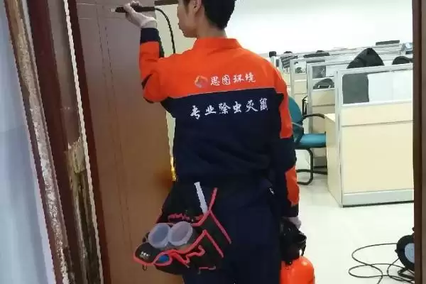 白蚁危害和防治(白蚁会造成哪些危害以及如何进行全方位防治)插图3