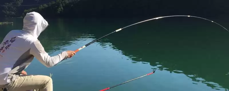 钓青鱼打窝秘诀(钓青鱼打窝有什么秘诀呢)插图 钓青鱼打窝秘诀(钓青鱼打窝有什么秘诀呢)插图