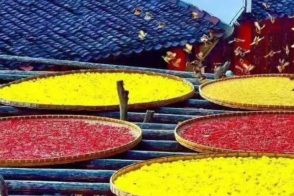 2023 年立秋具体日期 (2023 年立秋为 8 月 8 日背后有什么天文依据)插图2
