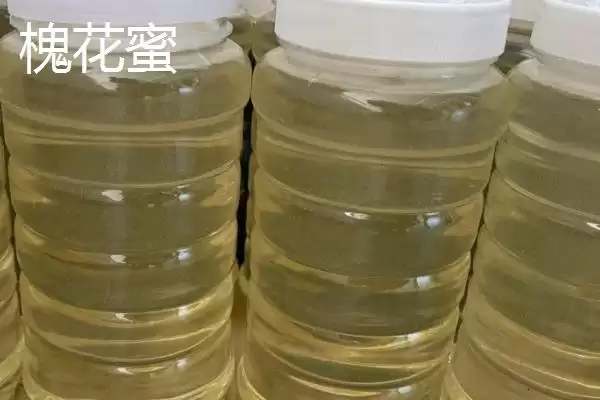 桉树蜜特性(桉树蜜是蜂蜜的一种其特性和口感风味有哪些特点)插图4 桉树蜜特性(桉树蜜是蜂蜜的一种其特性和口感风味有哪些特点)插图4