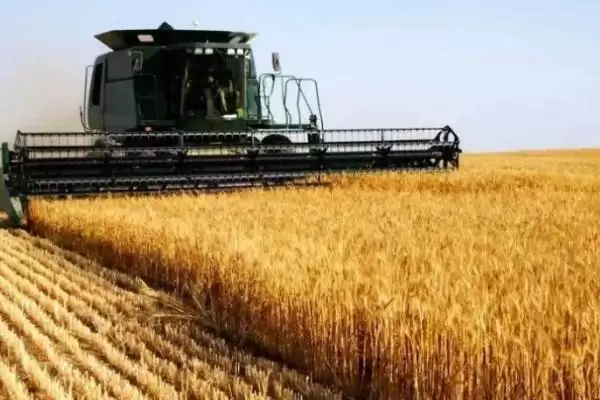 俄罗斯农业分布特点(俄罗斯农业分布有啥特点呢)插图1 俄罗斯农业分布特点(俄罗斯农业分布有啥特点呢)插图1