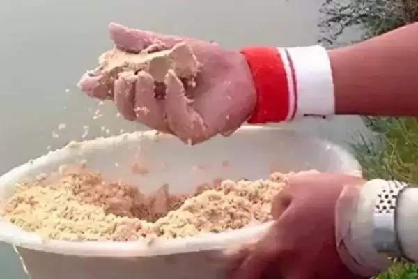 钓青鱼用什么小药(钓青鱼用哪种小药效果好)插图3