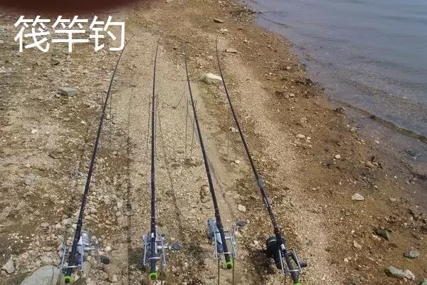 传统钓钓法介绍(传统钓钓法有哪些详细介绍呢)插图6