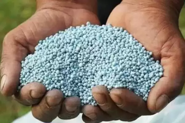 50强化肥品牌(50强化肥有中国农资等品牌其优势和市场表现如何)插图4 50强化肥品牌(50强化肥有中国农资等品牌其优势和市场表现如何)插图4