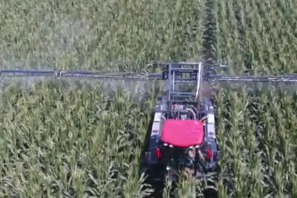 矮壮素使用方法全解析，使用方法和用量依作物而定的原因插图2