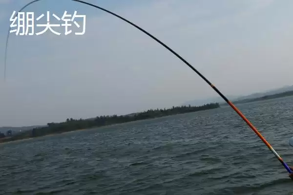 传统钓钓法介绍(传统钓钓法有哪些详细介绍呢)插图3