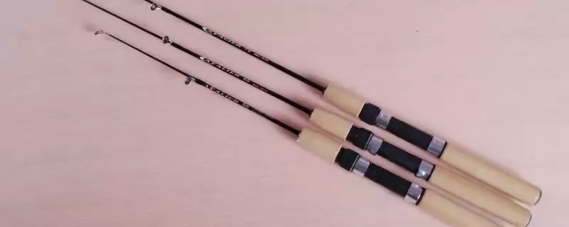 19调鱼竿适钓鱼种受哪些因素影响(19调鱼竿适钓鱼种受哪些关键因素的影响呢)-会东网