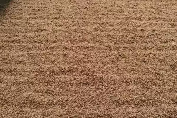 发酵床养鸡技术(发酵床养鸡技术具体是怎样的)插图3
