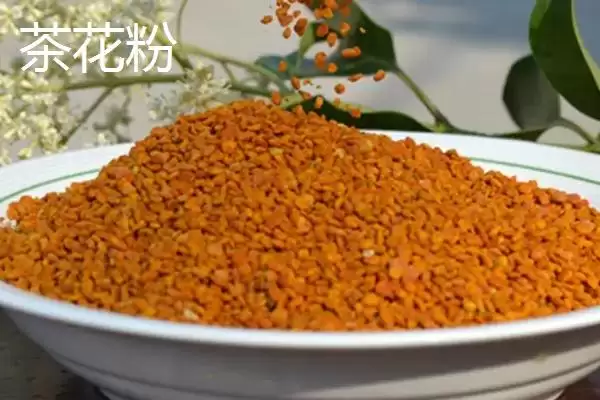 蜂花粉种类(蜂花粉常见种类及营养差异有哪些)插图2