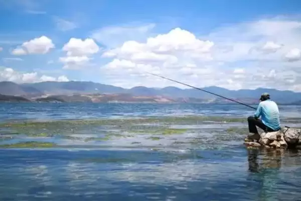 11月份钓深还是钓浅(11月份在不同水域钓鱼选择钓深还是钓浅呢)插图1 11月份钓深还是钓浅(11月份在不同水域钓鱼选择钓深还是钓浅呢)插图1